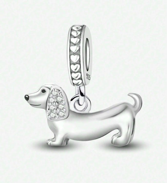 Charm Teckel